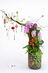 Tiểu Cảnh Lan Hồ Điệp