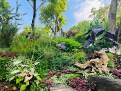 Vintage - Khu vườn mang khí chất Âu Châu