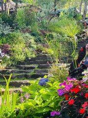 Vintage - Khu vườn mang khí chất Âu Châu