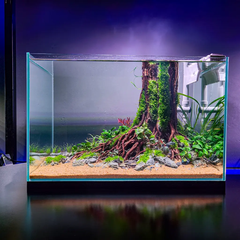 Layout nhất trụ LNT1001