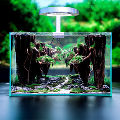 Layout đảo bay phong cách rừng LDB1003