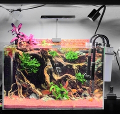 Layout vách suối LVR1