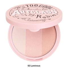 Phấn Bắt Sáng Too Cool For School  Artclass By Rodin Highlighter 11g
