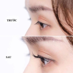 Kẹp Mi Shiseido Eyelash Curler 213