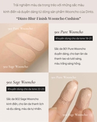 Phấn Nước Mờ Mịn Dinto Blur-Finish Wooncho Cushion 12g