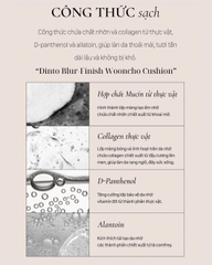 Phấn Nước Mờ Mịn Dinto Blur-Finish Wooncho Cushion 12g