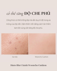 Phấn Nước Mờ Mịn Dinto Blur-Finish Wooncho Cushion 12g