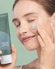 Mặt Nạ Đất Sét Isntree Mugwort Calming Clay Mask 100ml