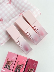 Son Thạch Bóng Mờ Dinto Blur Jelly Plumping 3.5g