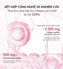 Thực Phẩm Bổ Sung Collagen Nội Sinh Menard Collagen Gold (10×30ml)