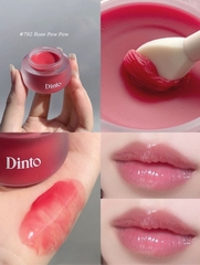 Mặt Nạ Môi Có Màu Dinto Chubby Mocchi Jelly Paw Paw 10g