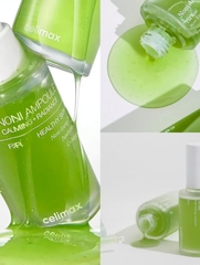 Tinh Chất Làm Dịu Celimax The Real Noni Energy Ampoule