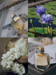 Nước Hoa Chloe Nomade Lumiere D'Egypte EDP 30ml