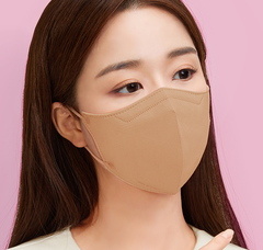 Khẩu Trang Arte Style Standard Fit