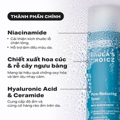 Nước Cân Bằng Thu Nhỏ Lỗ Chân Lông Paula’s Choice Skin Balancing Pore-Reducing Toner 190ml