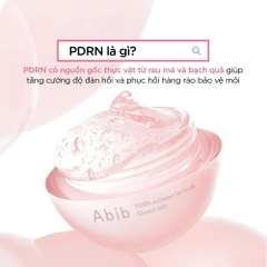 Mặt Nạ Môi Dạng Thạch Abib PDRN Collagen Lip Mask 11g