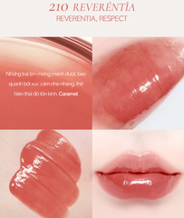 Son Bóng Thuần Chay Dinto Blur-Glowy Lip Tint 3.5g