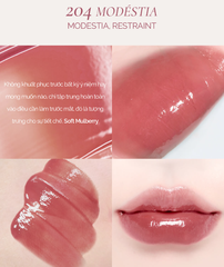Son Bóng Thuần Chay Dinto Blur-Glowy Lip Tint 3.5g