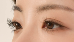 Chuốt Mi Bền Màu Dinto Dante One By One Lash Definer 401 Warm Black