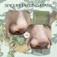 Mặt Nạ Tẩy Da Chết Pestlo Spicule Re-Born Peeling Mask 120g