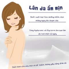 Kem Sữa Dưỡng Da Hatomugi Milky Cream 300g
