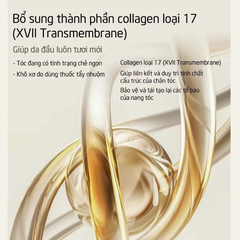 Dầu Gội Gừng Giảm Rụng Tóc Spes Ginger Collagen Shampoo Pol Control And Volumizing 200ml