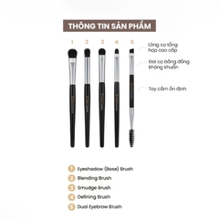 Bộ 5 Cọ Trang Điểm Mắt Studio17 Eye Makeup Brush Set