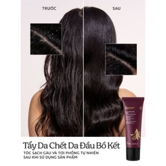 Tẩy Da Chết Da Đầu Bồ Kết Cocoon Gleditsia Scalp Scrub 200ml
