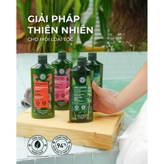 Dầu Gội Thuần Chay Yves Rocher Shampoo 300ml