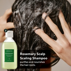 Bộ Dầu Gội Xả Aromatica Rosemary