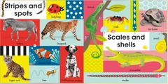 DK - 100 First Animals (Cuốn sách hoàn hảo giúp bé làm quen với thế giới động vật)