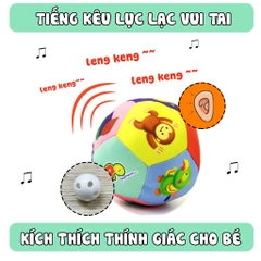 Bóng vải 12 múi - Pipo