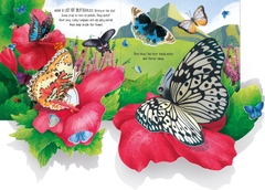 Usborne Pop up: Butterflies