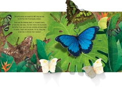 Usborne Pop up: Butterflies