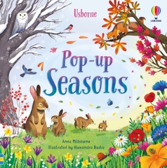 Usborne Pop up: Seasons