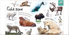 DK - Tabbed Board Books My First Zoo Let's Meet the Animals! (Khám phá thế giới động vật)