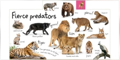 DK - Tabbed Board Books My First Zoo Let's Meet the Animals! (Khám phá thế giới động vật)
