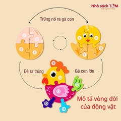Đồ chơi tranh ghép hình 3D bộ xếp hình gỗ cho bé từ 3 tuổi