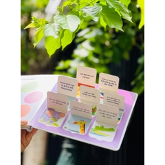 Sách Tương Tác Lật Mở Khám Phá - Lift The Flap (Cho bé từ 2 - 6 tuổi) – Đinh Tị Books