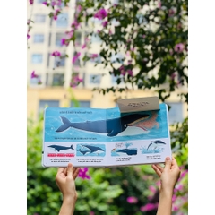 Sách Tương Tác Lật Mở Khám Phá - Lift The Flap (Cho bé từ 2 - 6 tuổi) – Đinh Tị Books