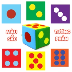 Xúc xắc xí ngầu- Pipo