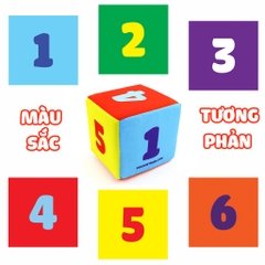 Xúc xắc xí ngầu- Pipo