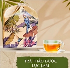 Combo Trà thảo dược Lục Lam 20 gói