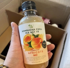 Kombucha chill mơ 250ml