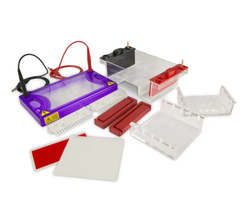Bể điện di ngang MultiSUB Max, Model: MSMAXI, Hãng: Cleaver Scientific/Anh