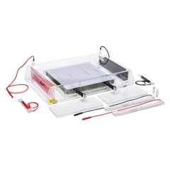 Bộ Điện di đẳng nhiệt, model: CSL - IEF, Hãng: cleaver scientific