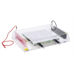 Bộ Điện di đẳng nhiệt, model: CSL - IEF, Hãng: cleaver scientific