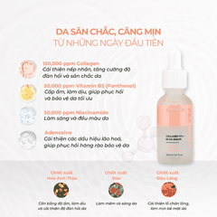 Tinh chất giúp cải thiện độ đàn hồi và làm dịu cho da nhạy cảm PAX MOLY Collagen 15% + B5 5% Serum 30ml