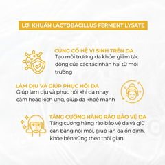 Mặt nạ dưỡng ẩm giúp hạn chế dầu thừa và cải thiện các vấn đề da PAX MOLY Probiotics Mask Pack (Hộp 10 miếng)