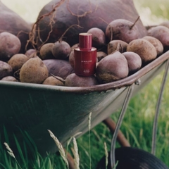 Nước Hoa Jo Malone Scarlet Beetroot Cologne 30ml – Hương Củ Cải Đỏ Độc Đáo, Tươi Mới Và Tinh Tế
